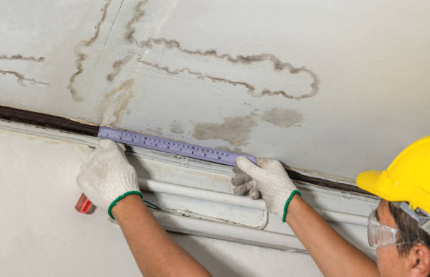 Reliable Burst Pipe Cleanup contractor in Pleasant Ridge, MI by Local Water Damage Repair